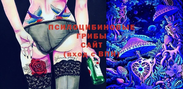 гашик Балабаново